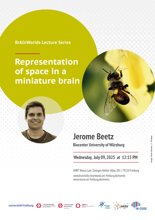 2025-07-09-Beetz