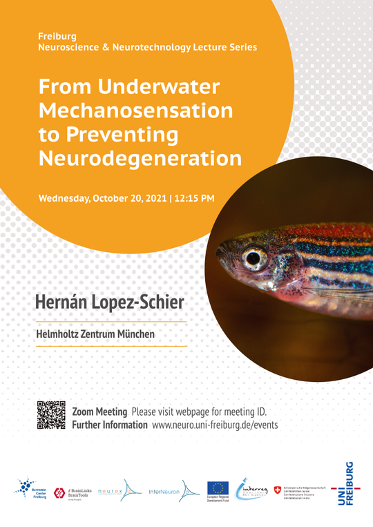 Freiburg Neuroscience & Neurotechnology Lecture Series | Hernán Lopez-Schier