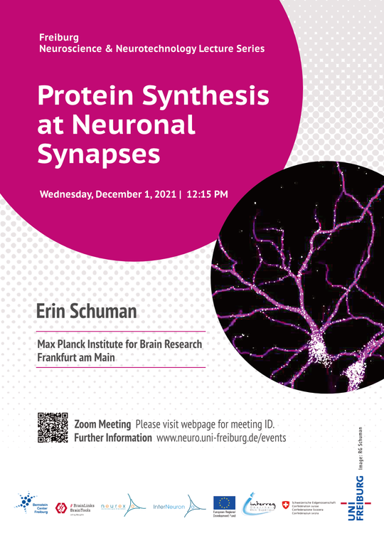 Freiburg Neuroscience & Neurotechnology Lecture Series | Erin Schuman