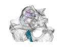 Lichtorgel im Ohr: Erstmals Einsatz von vielkanaligen Cochlea-Implantaten mit Mikro-Leuchtdioden Lichtorgel im Ohr: Erstmals Einsatz von vielkanaligen Cochlea-Implantaten mit Mikro-Leuchtdioden