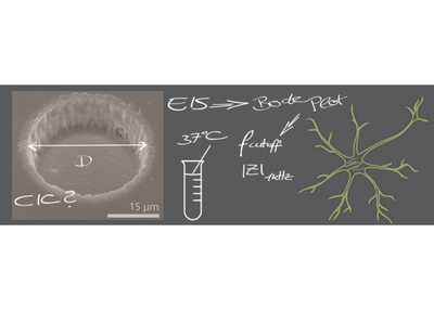 Performance test for neural interfaces Performance test for neural interfaces