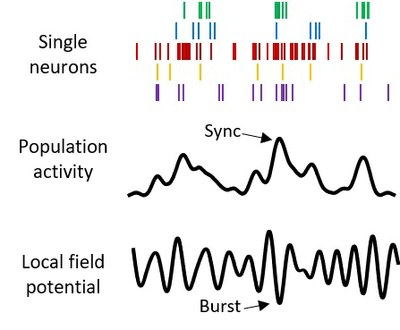 Competing bursts